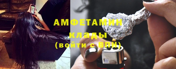 прущие крисы Ельня