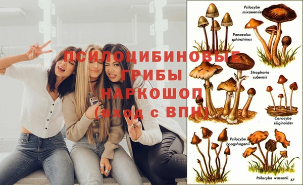 амфетамин Тавда