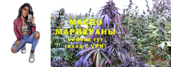 прущие крисы Ельня