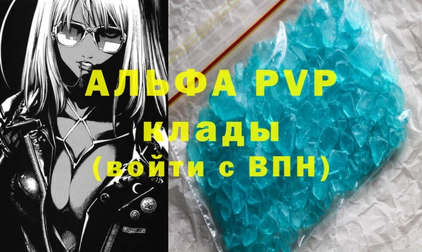 прущие крисы Ельня