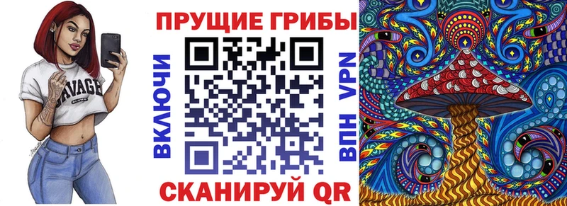 мега ссылки  Димитровград  Псилоцибиновые грибы MAGIC MUSHROOMS 